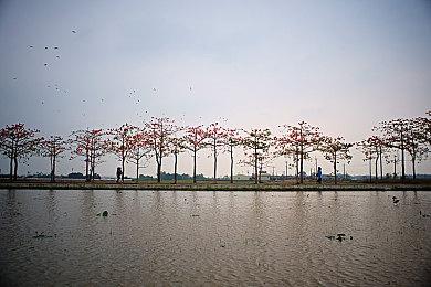 RTS游戏《世界大战：西方战线》公布 2023年发售